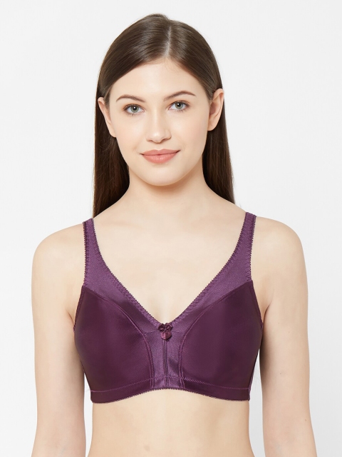 

Juliet Purple Solid Non-Wired Non-Padded Everyday Bra-010001900000036