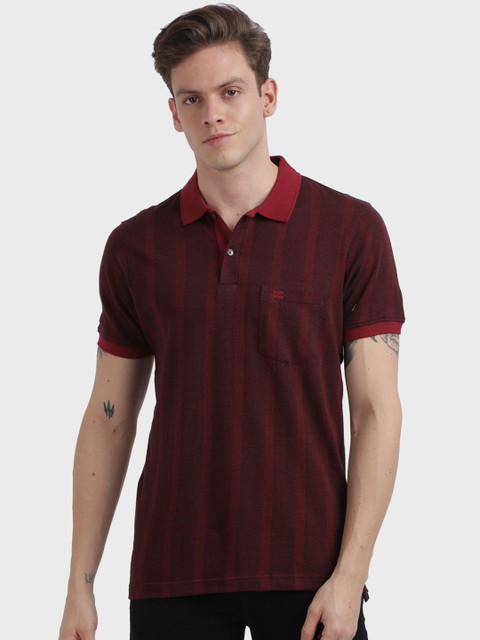 

ColorPlus Men Maroon Striped Polo Collar T-shirt