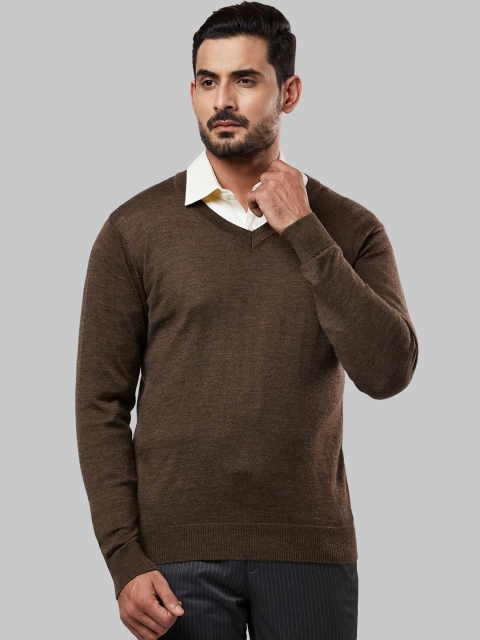 

Raymond Men Brown Solid Woolen Pullover Sweater