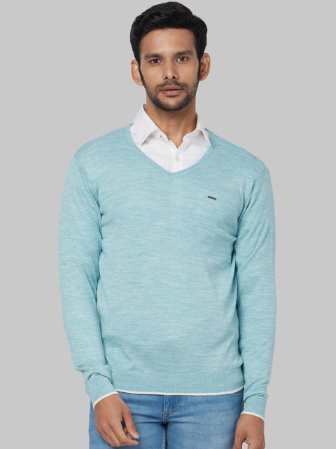 

Park Avenue Men Blue Solid Pullover Sweater