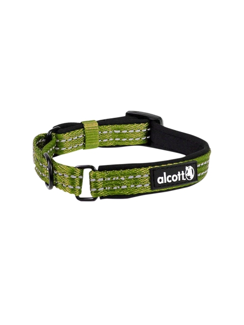 

PawsnCollars Green Alcott Martingale Anti-Escape and Training Dog Collar