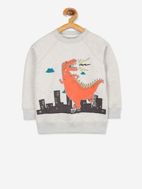 

Cherry Crumble Boys Grey Printed Sweatshirt