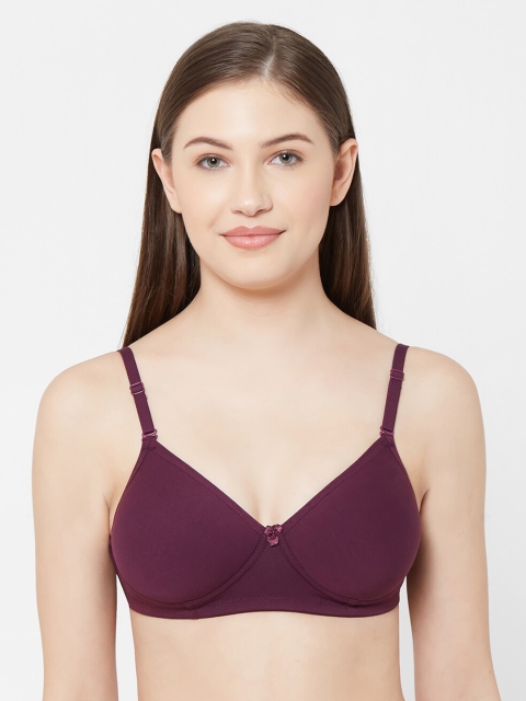 

Juliet Purple Solid Non-Wired Heavily Padded Everyday Bra 010002700005006