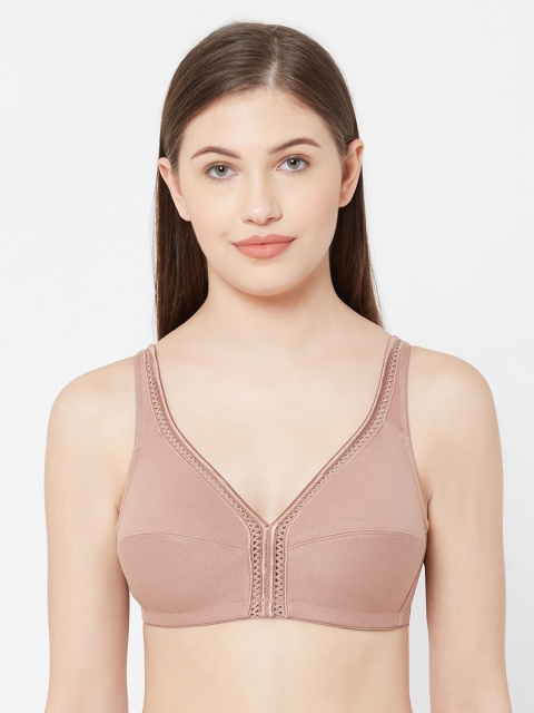 

Juliet Brown Solid Non-Wired Non Padded Everyday Bra 010001900004077