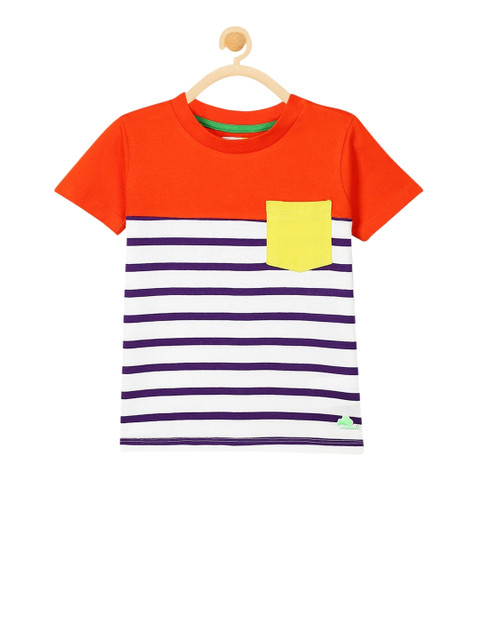 

Cherry Crumble Boys Orange & Blue Striped Round Neck T-shirt