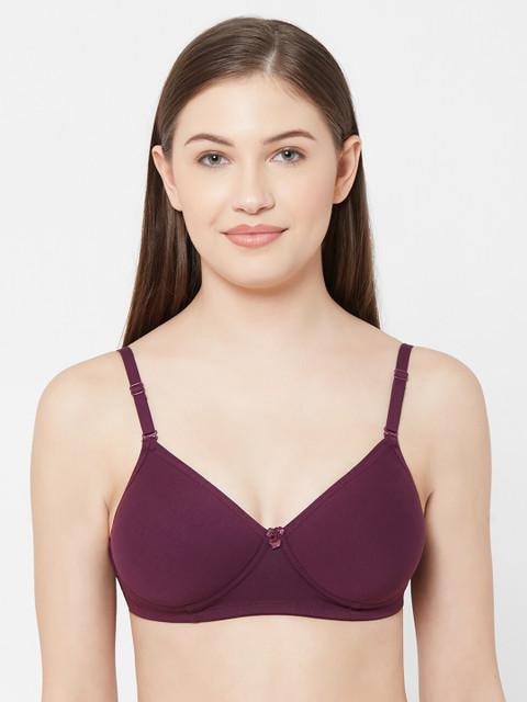 

Juliet Purple Solid Non-Wired Heavily Padded Everyday Bra