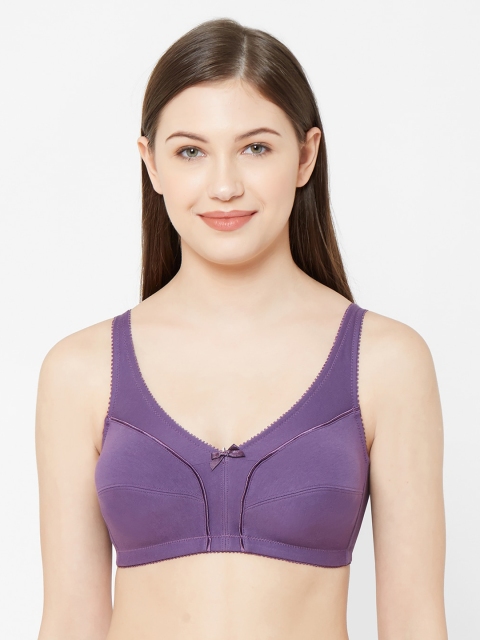 

Juliet Violet Solid Non-Wired Non Padded Everyday Bra