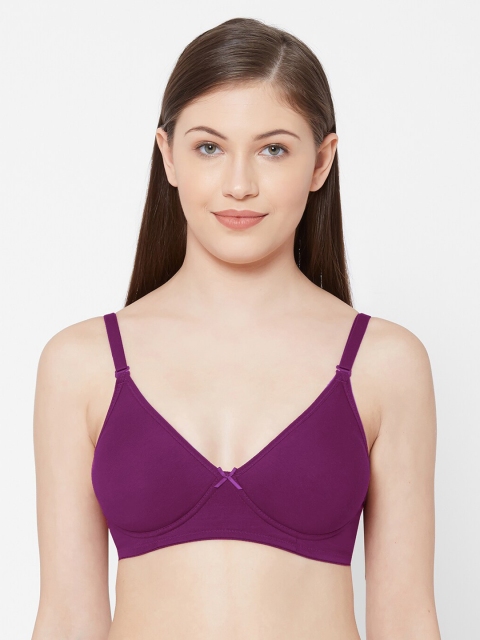 

Juliet Purple Solid Non-Wired Non Padded Everyday Bra 010000300007325