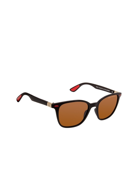

David Blake Unisex Brown Polarised & UV Protected Lens Wayfarer Sunglasses SGDB1949