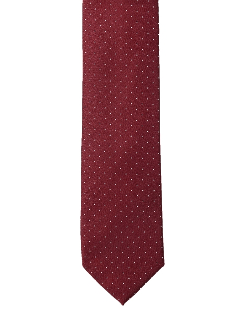 

Arrow Men Red & White Printed Broad Tie