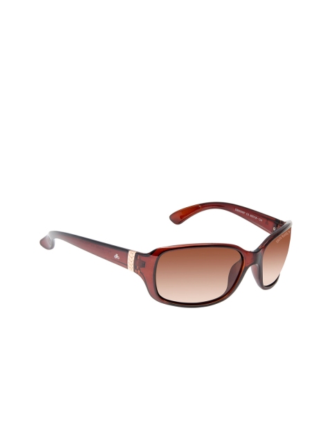 

David Blake Women Oval Sunglasses, Brown