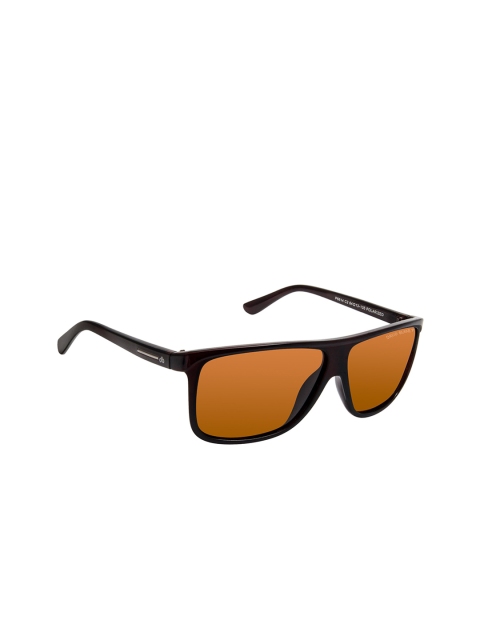 

David Blake Unisex Brown Wayfarer Polarised and UV Protected Sunglasses CNSGDB1936