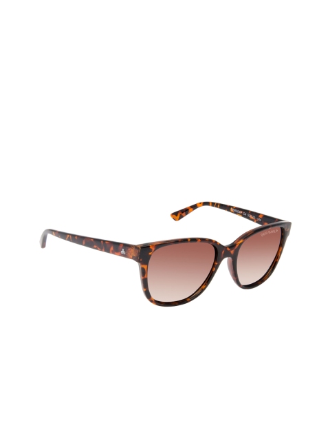 

David Blake Unisex Wayfarer Sunglasses CNSGDB2051, Brown