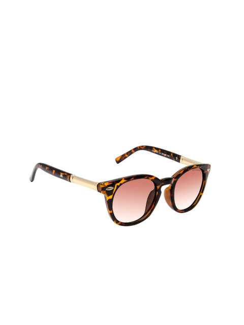 

David Blake Unisex Round Sunglasses CNSGDB2075, Brown