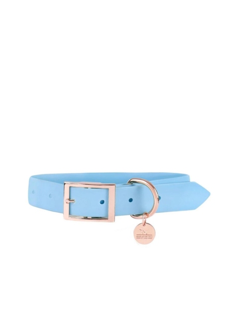 

Heads Up For Tails Blue Pastel Pawprint Rain Friendly Dog Collar