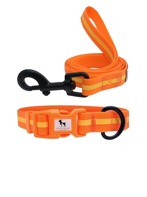 

Heads Up For Tails Orange & Yellow Waterproof Dog Collar & Leash Set
