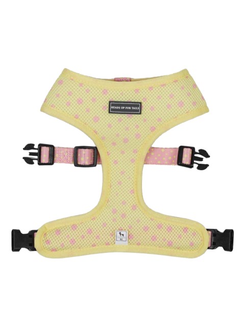 

Heads Up For Tails Yellow & Pink Printed Candy Sunshine Reversible Dog Harness