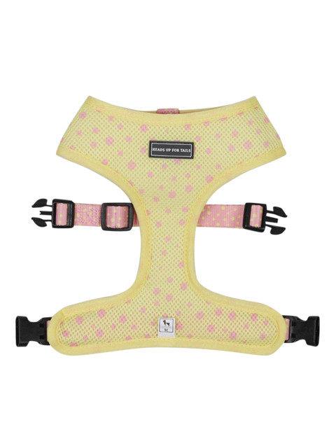 

Heads Up For Tails Pink & Beige Printed Candy Sunshine Reversible Dog Harness
