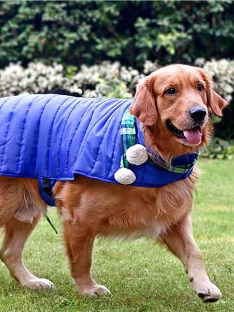 

Heads Up For Tails Blue Solid Madison Dog Jacket