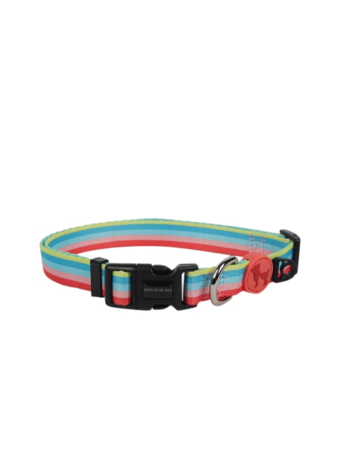 

Heads Up For Tails Multicoloured Rainbow Popsicle Dog Collar, Multi