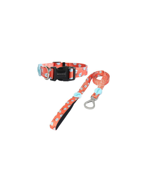 

Heads Up For Tails Orange Set Of Birdie Dog Collar & Leash