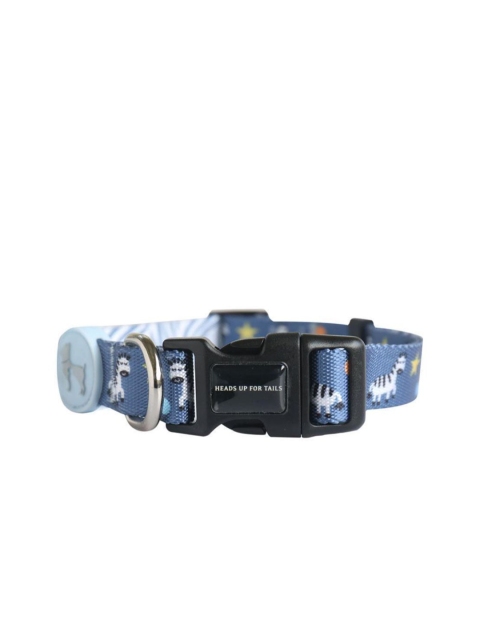 

Heads Up For Tails Z-Star Dog Collar and Leash Set, Blue