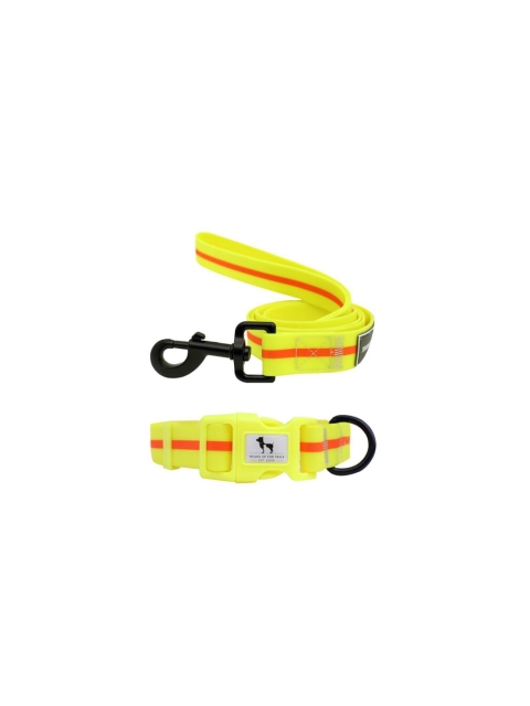 

Heads Up For Tails Orange Waterproof Dog Collar & Leash Set