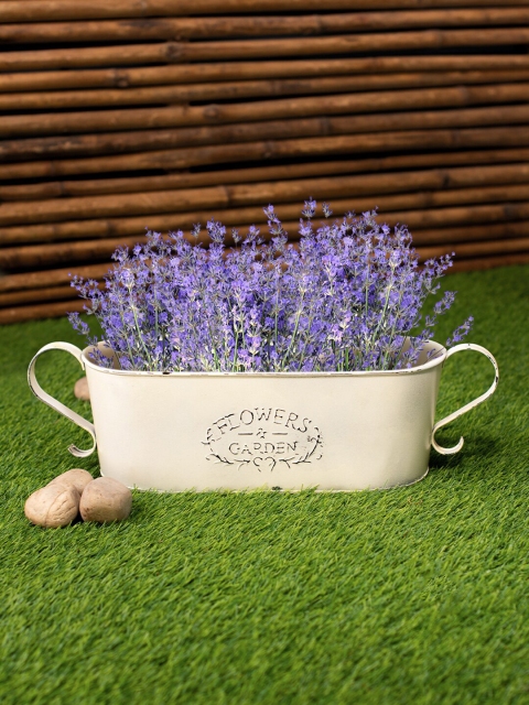 

green girgit White Oval Rustic Tub Planter