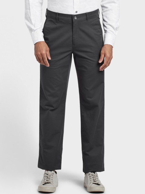 

ColorPlus Men Grey Regular Fit Solid Chinos