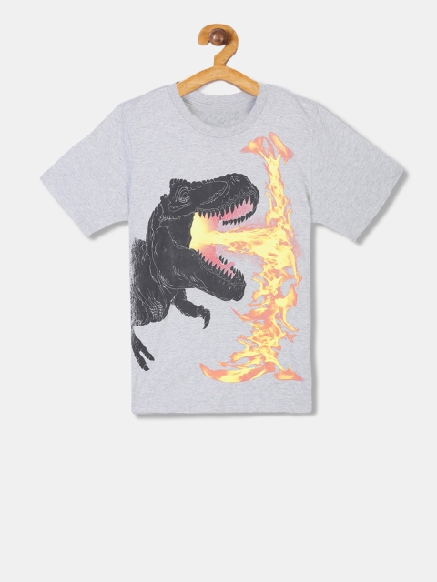 

The Childrens Place Boys Grey Printed Round Neck T-shirt