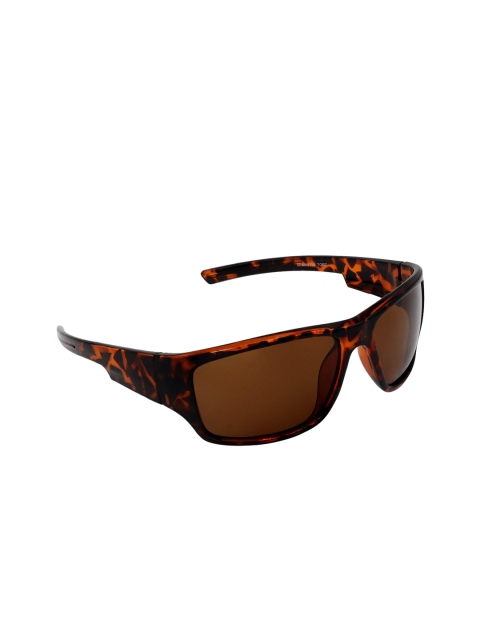 

Steve Madden Unisex Brown Polarised Lens Wayfarer Sunglasses SM49398TORT