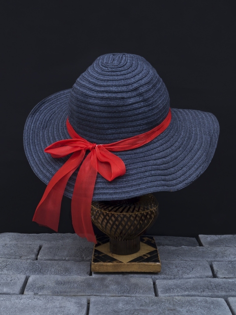 

Golden Peacock Women Navy Blue & Red Woven-Design Sun Straw Hat