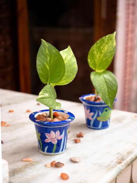 

Neerja Set of 2 Blue & Pink Printed Mini Planter