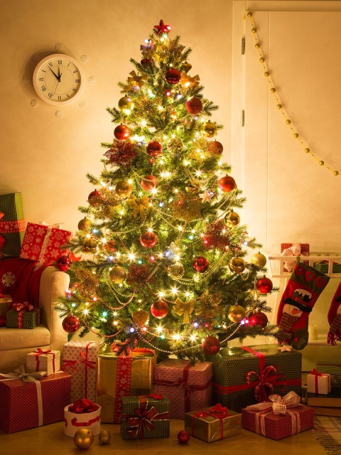 

Archies Set of 22 Artificial Christmas Tree With Decoration Ornaments, Green