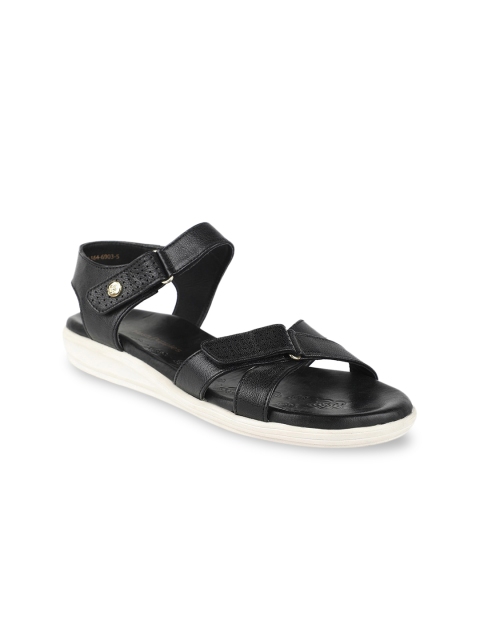 

Hush Puppies Women Black Solid Comfort Heels