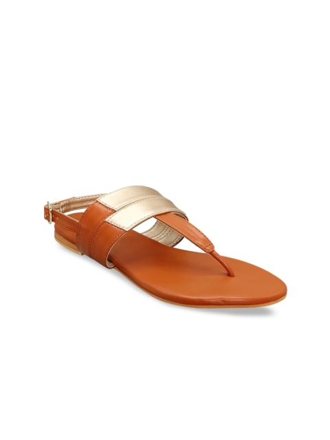 

Siendo Desi Women Tan Colourblocked T-Strap Flats