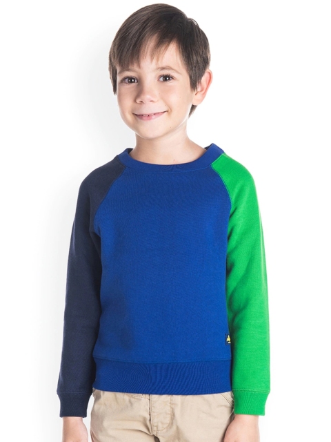 

Cherry Crumble Boys Blue & Green Colourblocked Sweatshirt