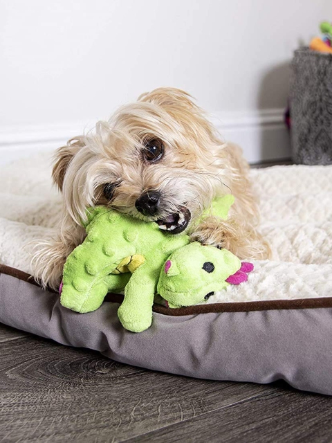 

PETS EMPIRE Green Dragons with Chew Guard Technology Plush Squeaker Dog Toy