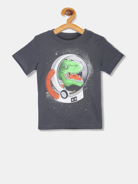 

The Childrens Place Boys Grey Printed Round Neck T-shirt