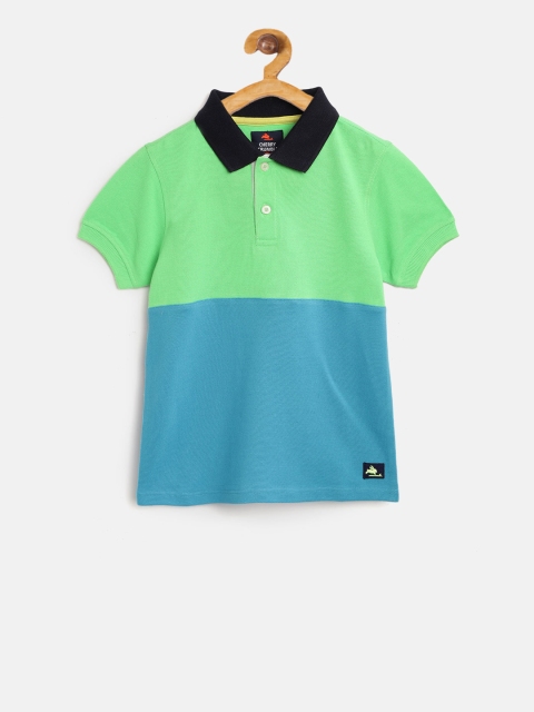 

Cherry Crumble Boys Blue and Green Colourblocked Polo Collar T-shirt