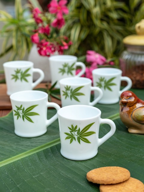

Laopala White & Green Set Of 12 Printed Opalware Cups Set