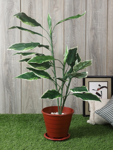 

PolliNation Green White Artificial Hosta Plant Without Pot