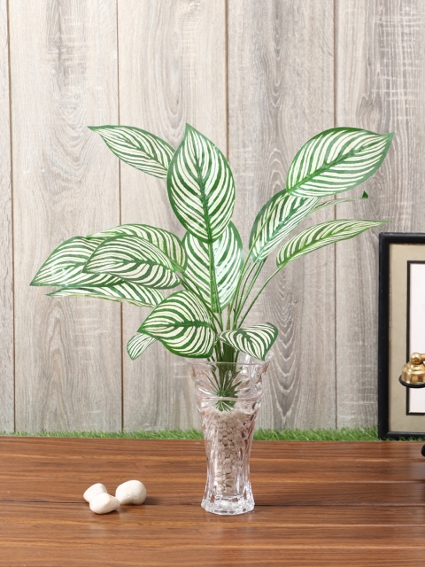 

PolliNation White Artificial Dieffenbachia Plant Without Pot