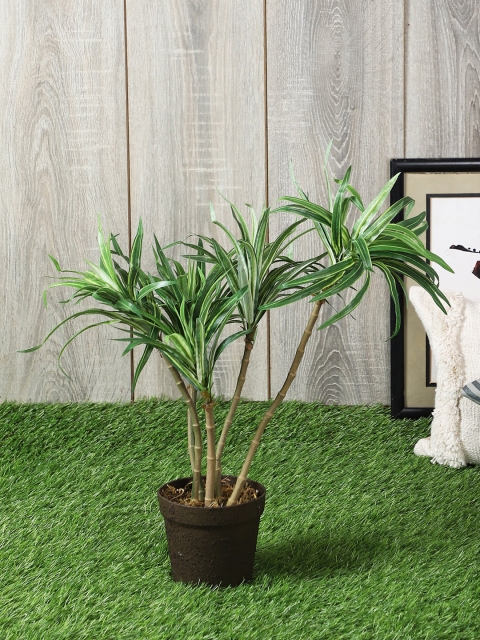 

PolliNation Green Artificial Draceana Plant With Pot