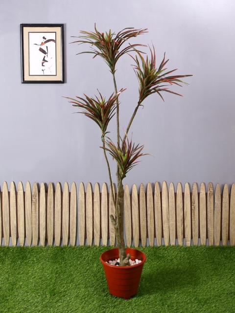 

PolliNation Green Red Artificial Yucca Plant Without Pot
