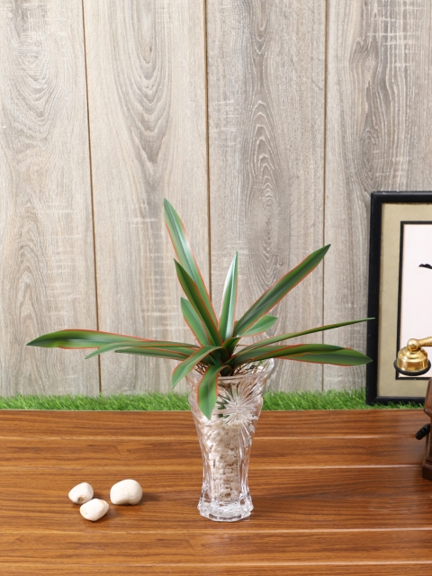 

Pollination Red Real Touch Dracaena Plant Without Pot, Green