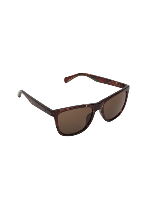 

Fossil Men Wayfarer Sunglasses, Brown