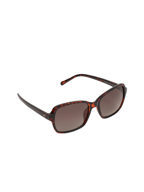 

Fossil Women Wayfarer Sunglasses 20240508654HA, Brown