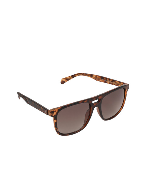 

Fossil Men Wayfarer Sunglasses 202450HGC54HA, Brown