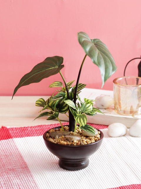 

PolliNation Green Artificial Monstera Bonsai with Brown Ceramic Pot